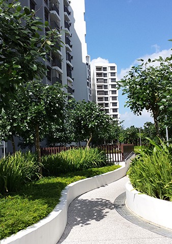 Adora Green (DBSS) – Public Housing Development
